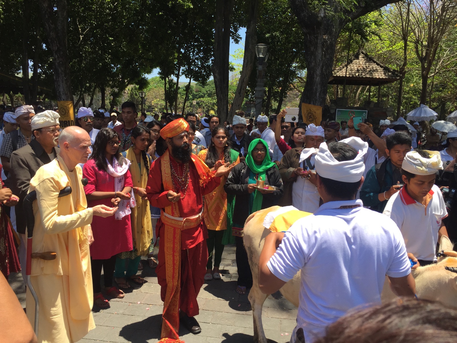 Offering flowers to Mother Cow at Jagannatha Pura in Bali as part of Go Puja ceremony held for the first time in Bali. Many local university students attended.