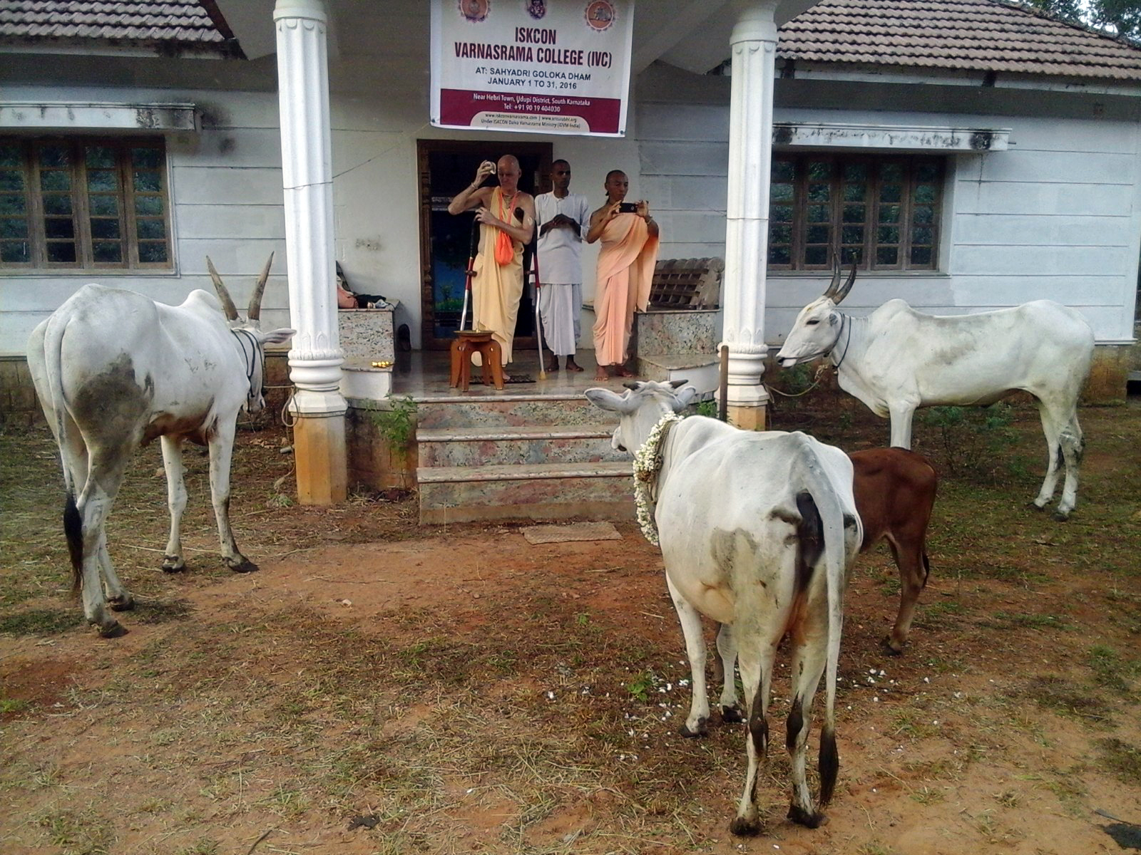 Go-Puja Mahostava and Inauguration of ISKCON Varnasrama College 2016