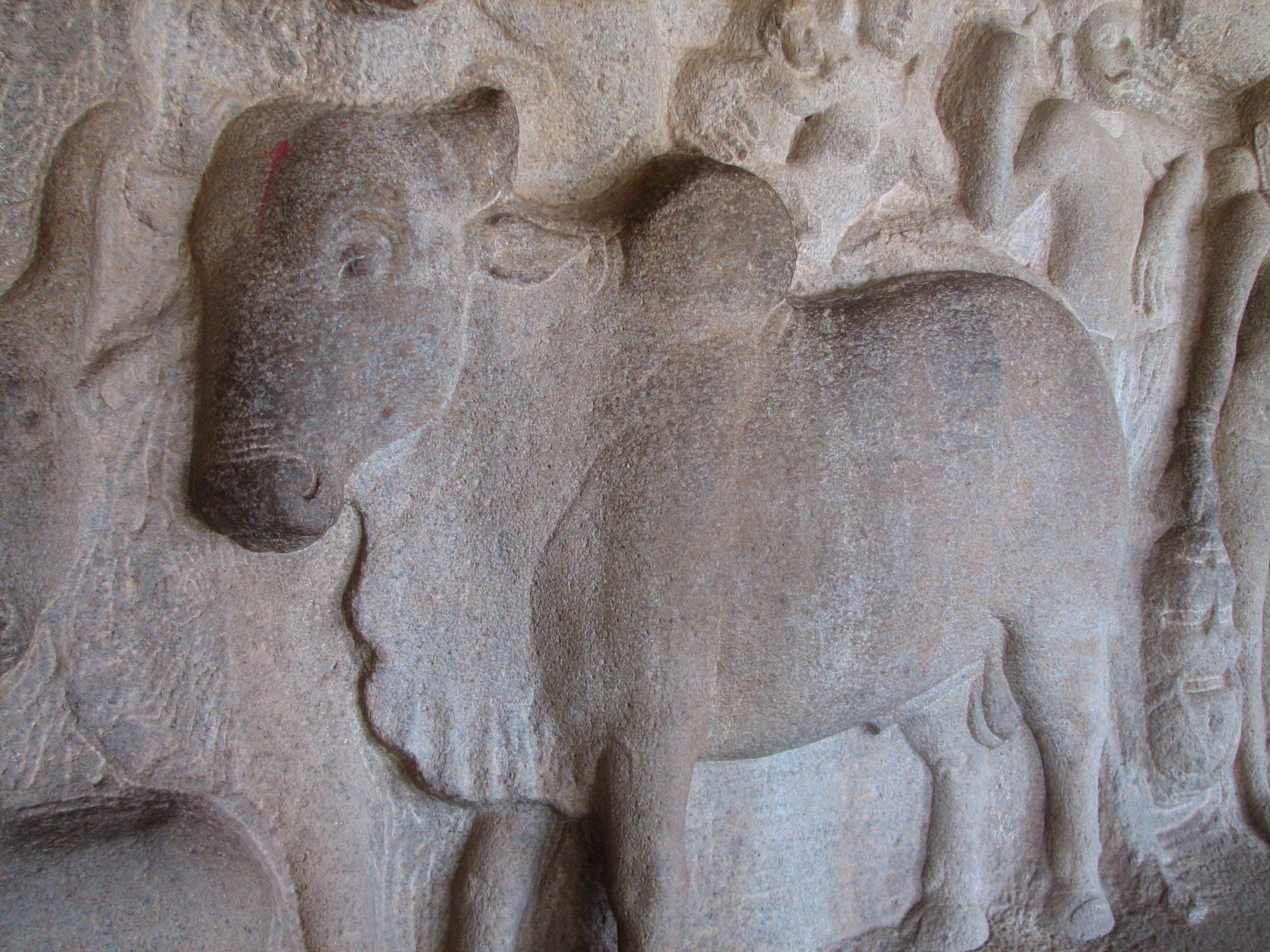 Go-Puja in Cambodia Near Siem Reap